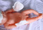 Não - dos produtos descartáveis do bebê das telas luvas recém-nascidas tecidas L tamanho da mão do bebê de S fornecedor